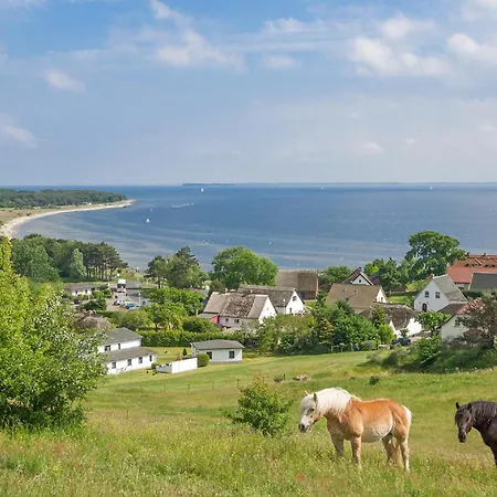 Rex Rugia Haus 17 04 * Lobbe