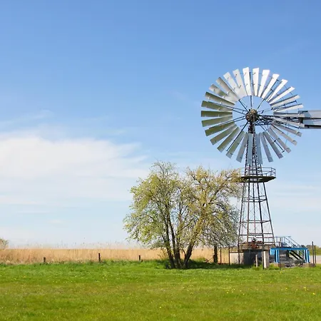 Rex Rugia Haus 17 04 Lejlighed Lobbe