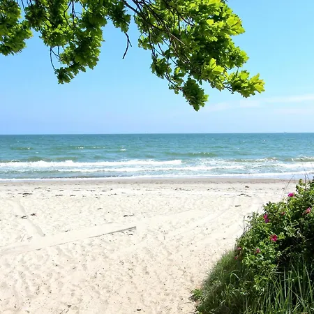 Lejlighed Rex Rugia Haus 17 04 Lobbe